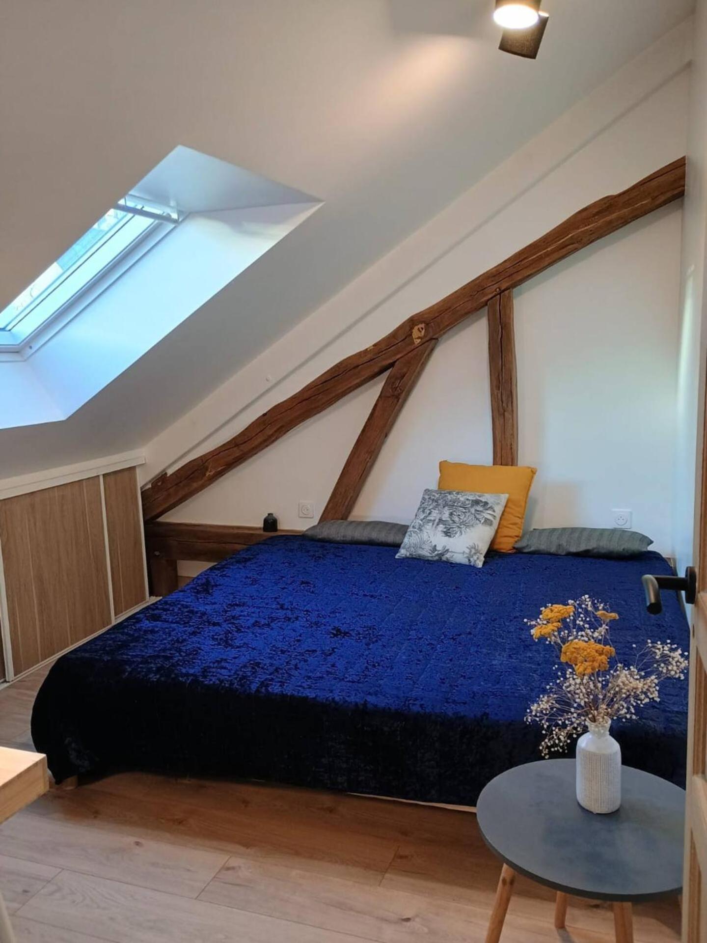 Domaine De Charme Au Coeur D'Orleans Classe 3 Etoiles - Bords De Loire - 21 Couchages Avec Parkings Prives Esterno foto